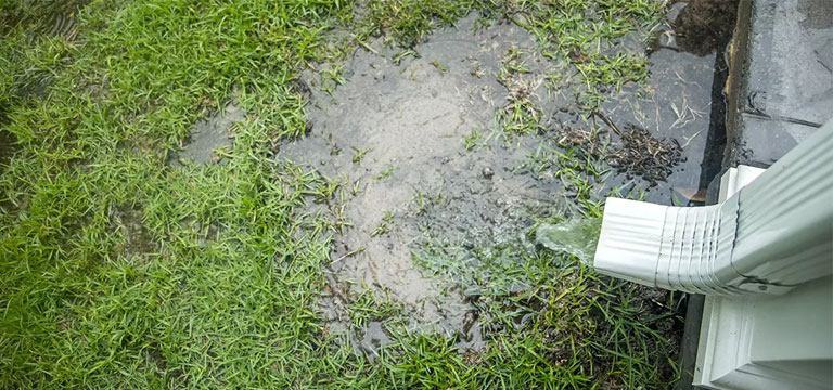 How Drainage Issues Can Affect Your Property's Value